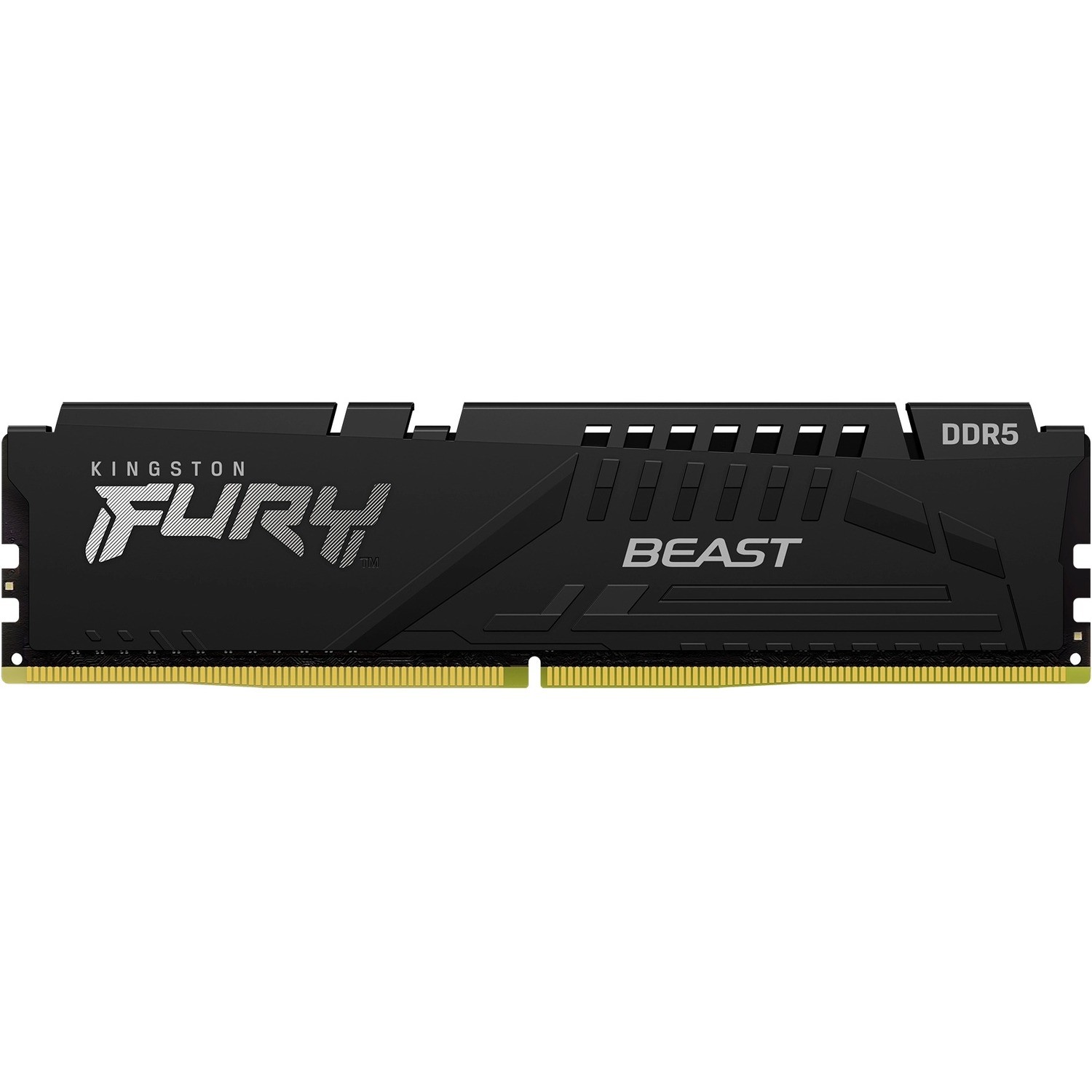 Kingston Fury Beast 32GB DDR5 SDRAM Memory Module (KF552C40BB32)