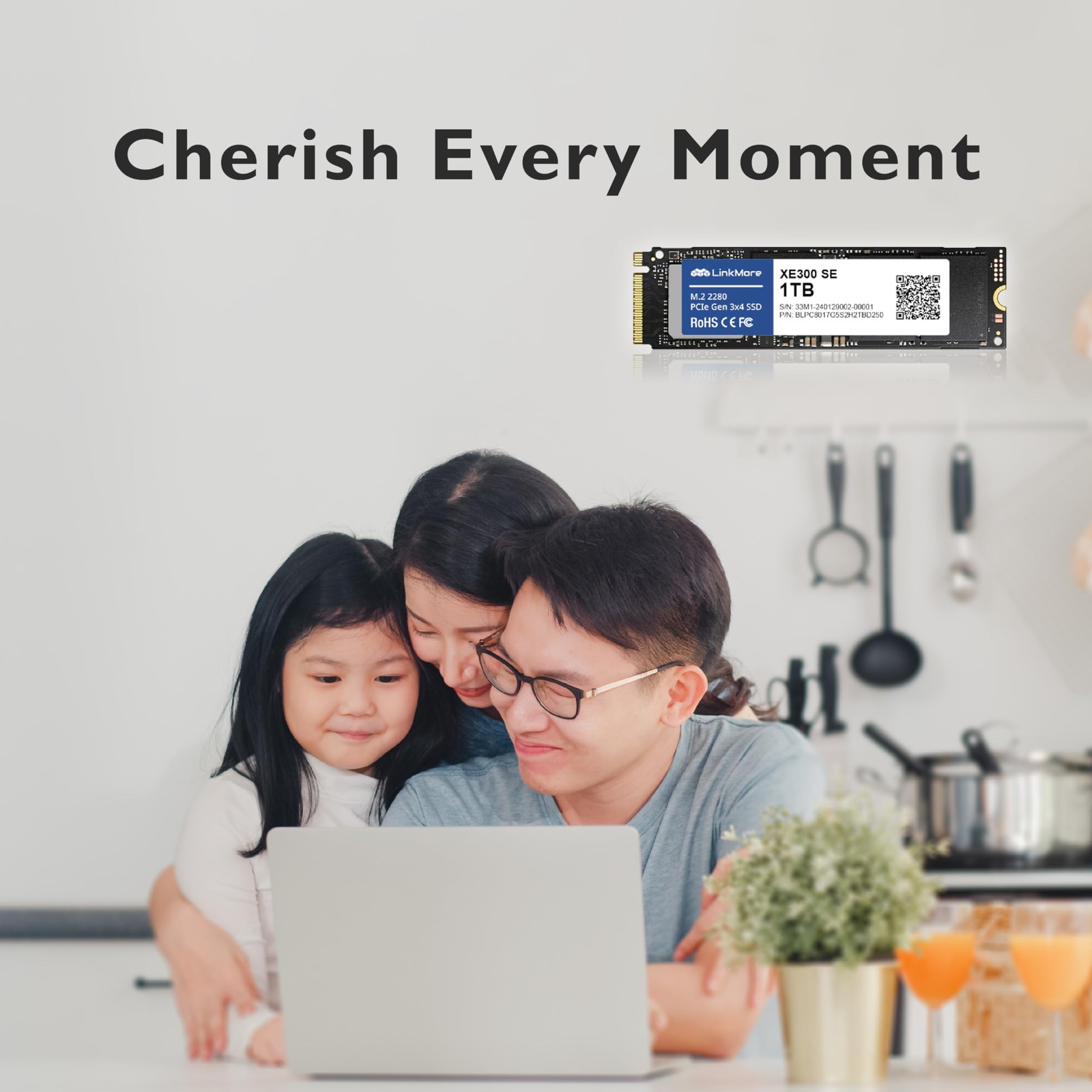 XE300 SE 1TB PCIe Gen3 NVMe M.2 2280 Internal 1TB, (XE300 SE)