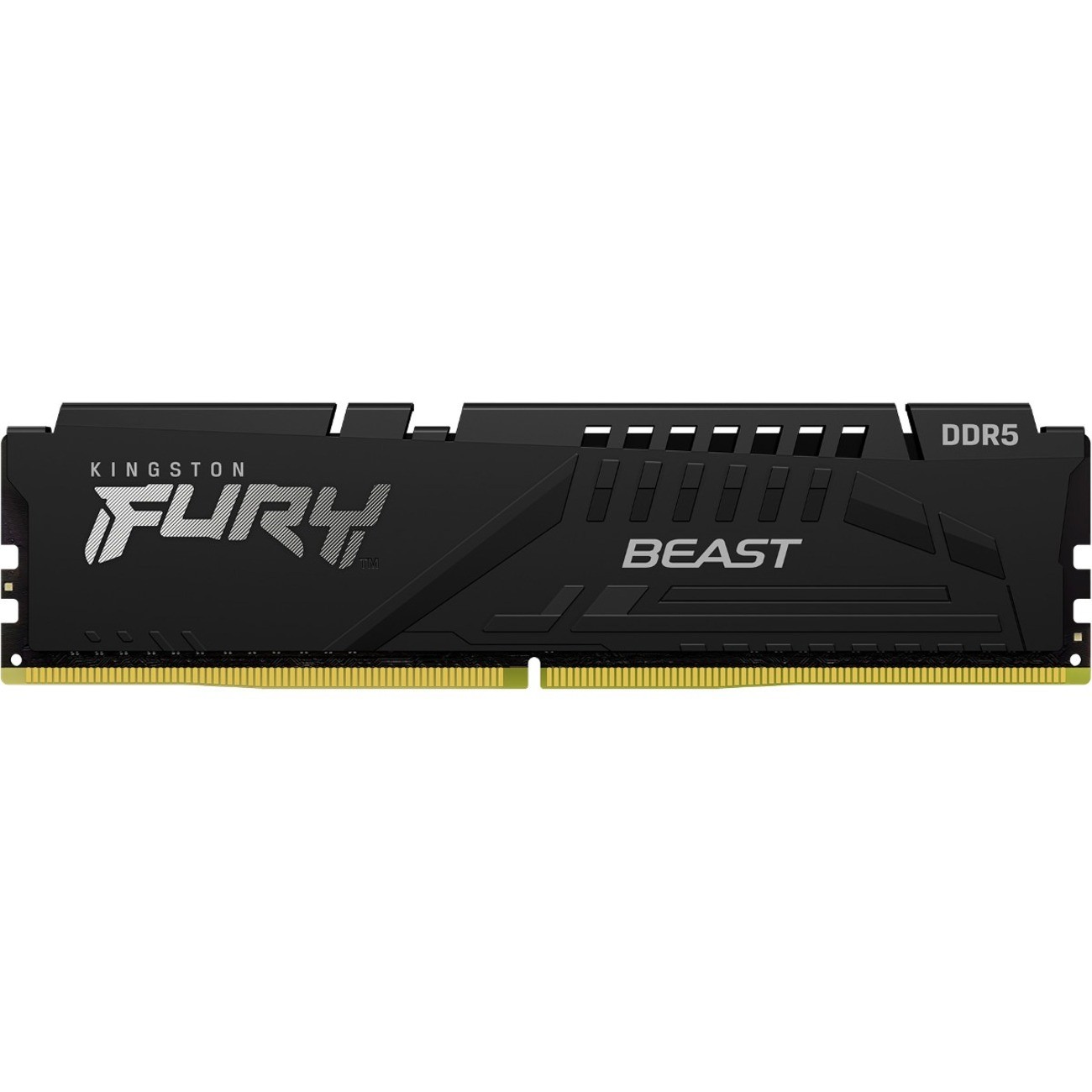 Kingston FURY Beast 16GB DDR5 SDRAM Memory Module (KF552C40BB16)
