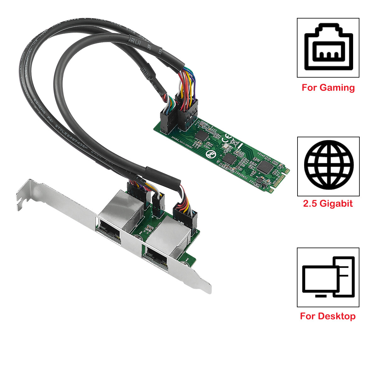 2.5G M.2 to RJ45 Ethernet Network Card M.2 B+M Key 2500 Mbps RTL8125B Chipset