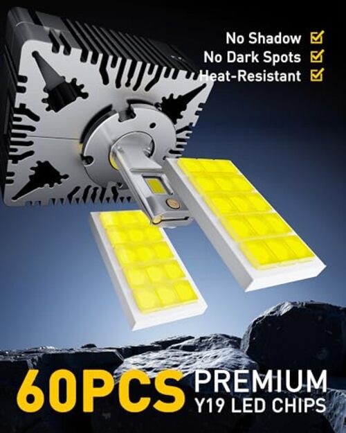 Bulbs, 30000LM 6500K Cool White, Direct Replacement Light Bulbs with D5S