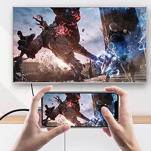 NFHK USB-C Type C Female Source to HDMI Sink HDTV & PD Power Adapter 4K DP