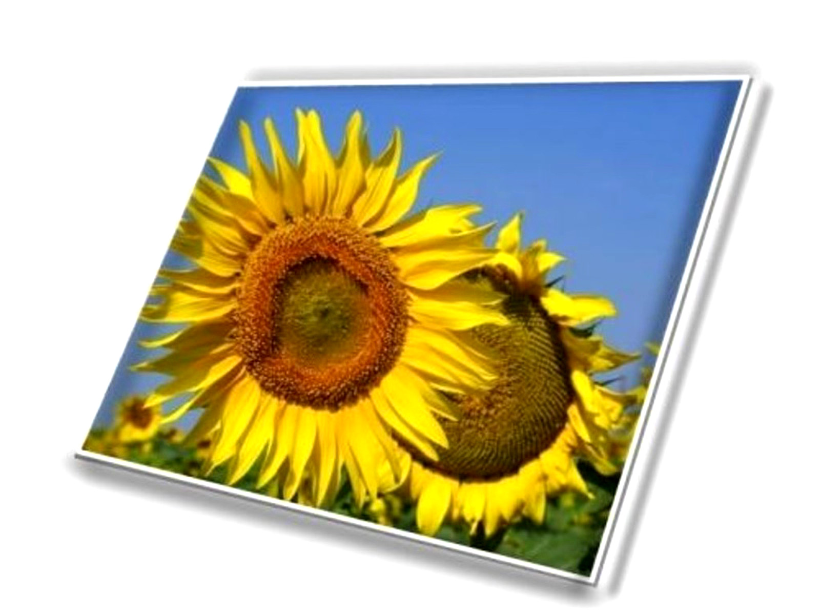 NE140QDM-NX1 V18.0 14″ 2560×1600 16:10 40 pin eDP LCD screen Matrix Display New