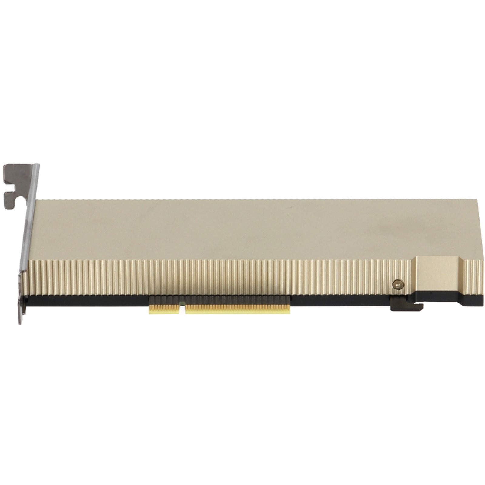 Dell NVIDIA A2 Tensor Core 16GB GDDR6 60W FHHL SW FH PCIe GPU v2 (MG5JX)