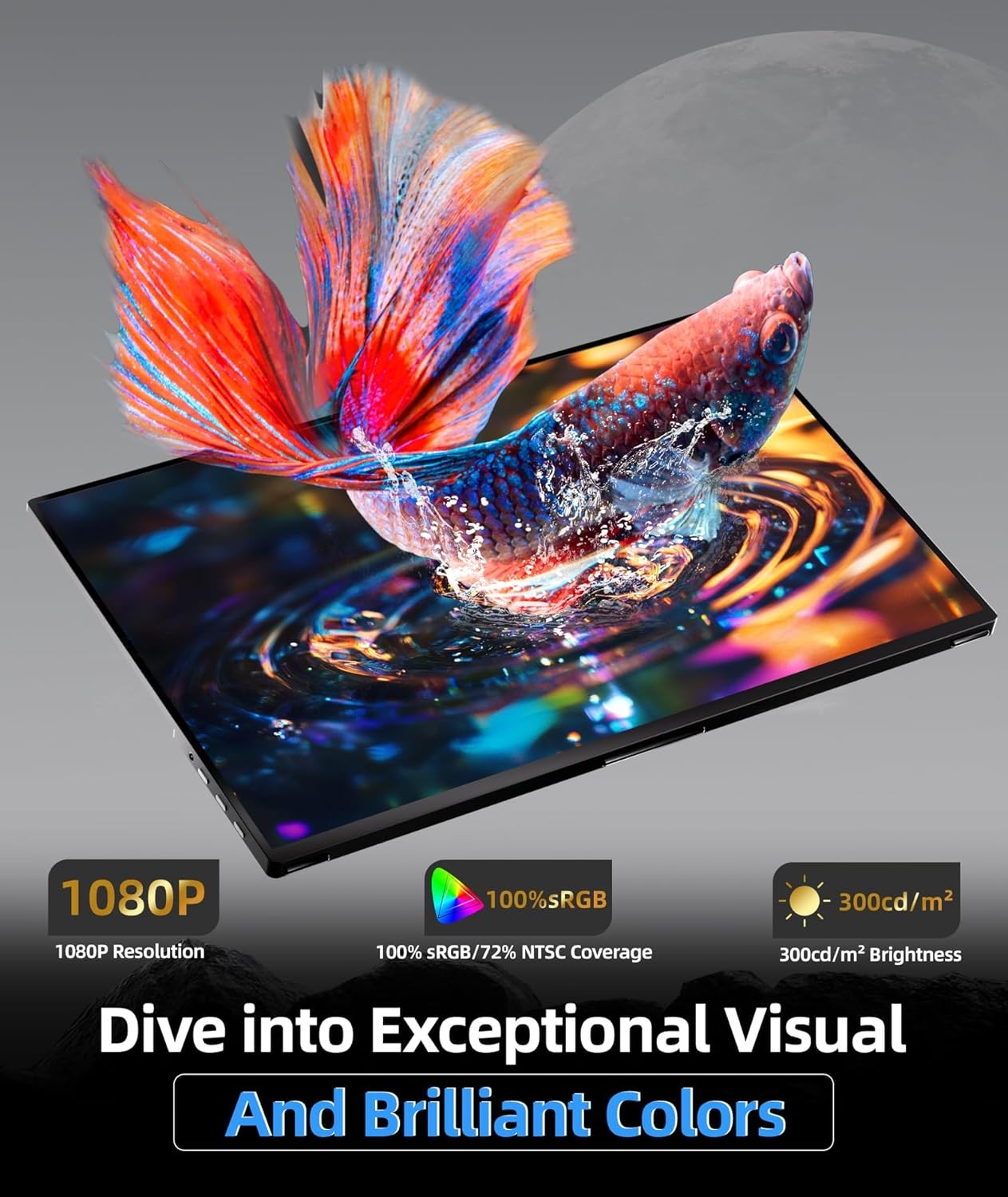 18.5 Inch Portable Monitor, 100% sRGB FHD, USB-C, Mini HDMI, VESA-ready