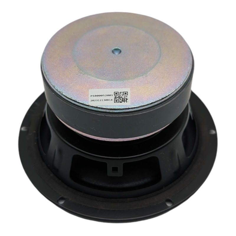 PAS02745018 – Woofer For Partybox 110