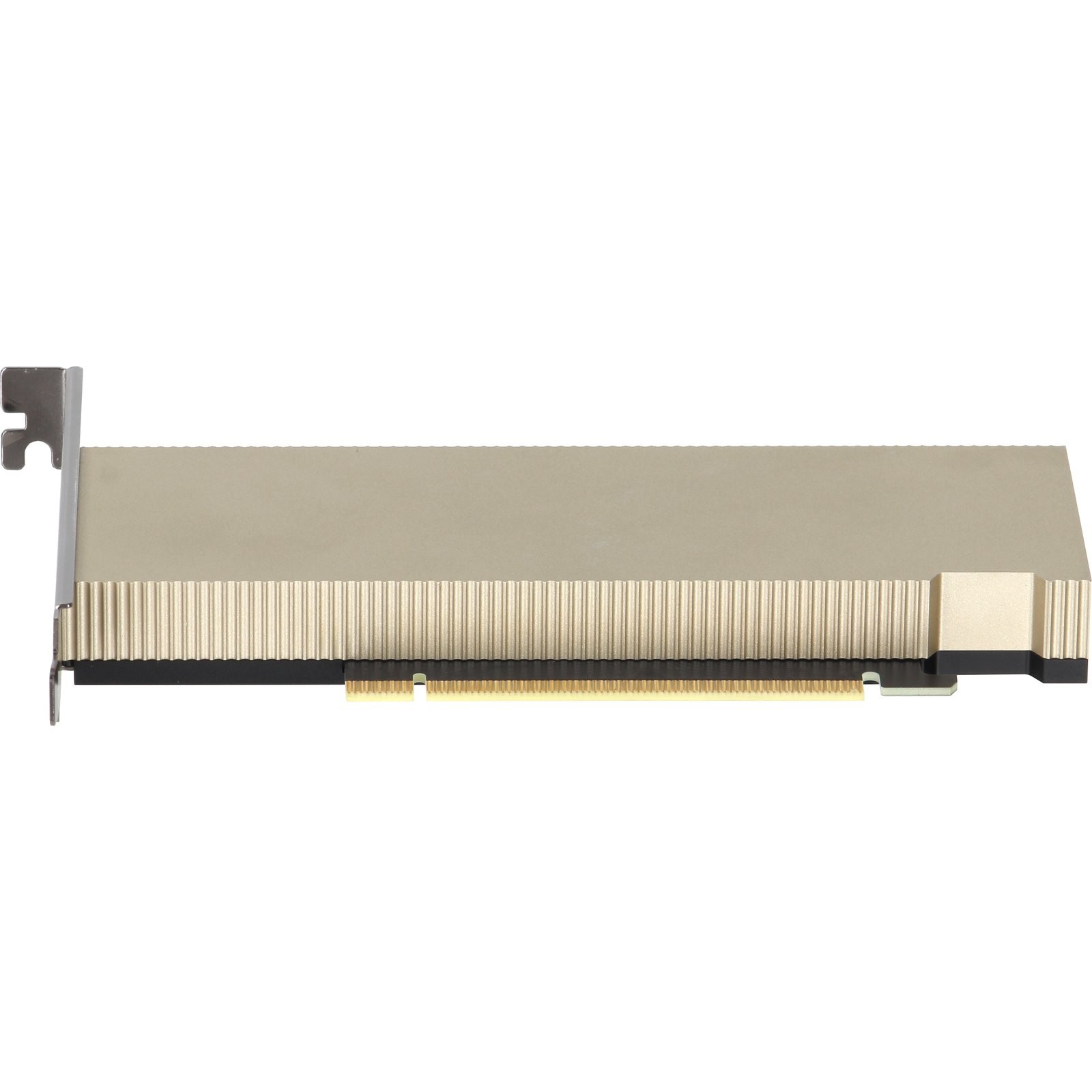 Dell NVIDIA L4 Tensor Core 24GB GDDR6 72W FHHL SW FH PCIe GPU (NG3PY) -CR