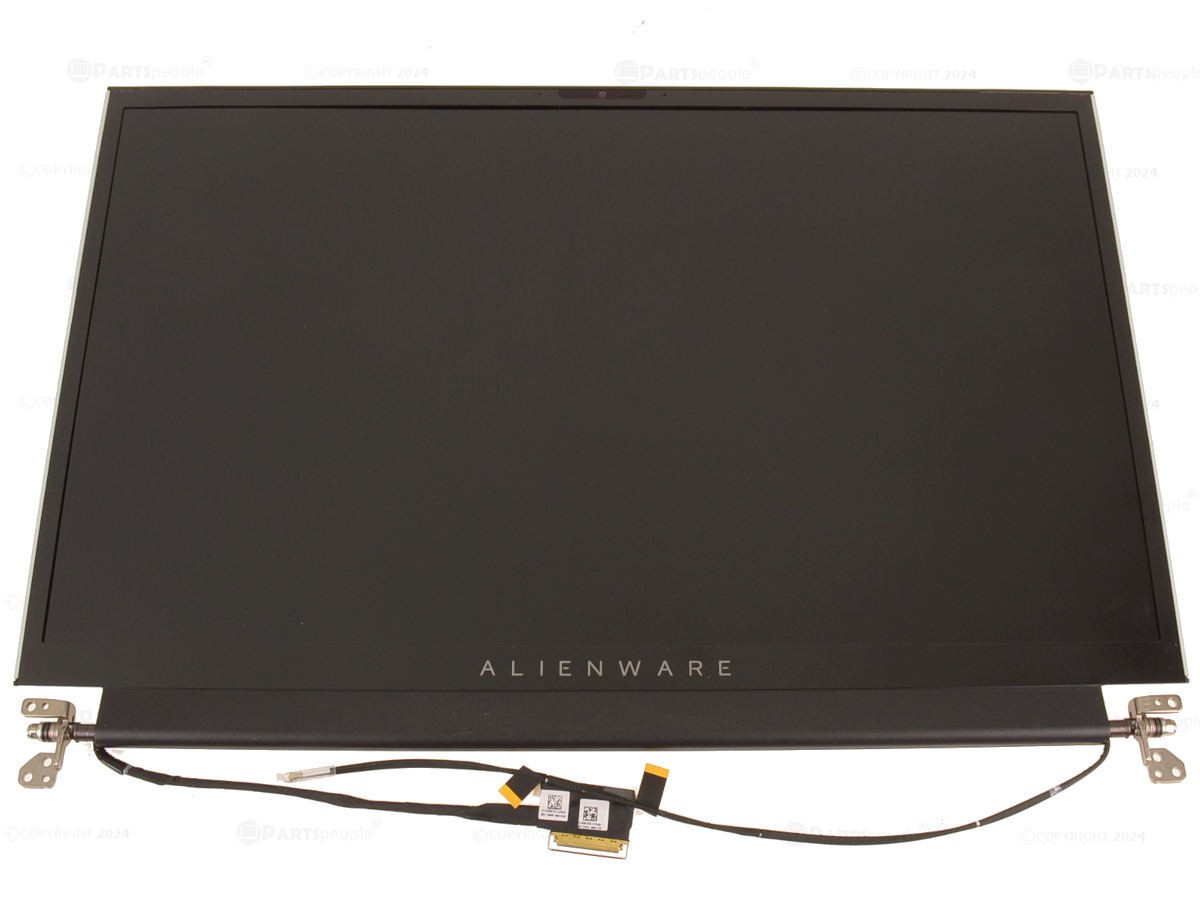 Dell 17.3 Inches Non-Touch LCD Display Assembly – Light Gray – FHD – 60 WRT12