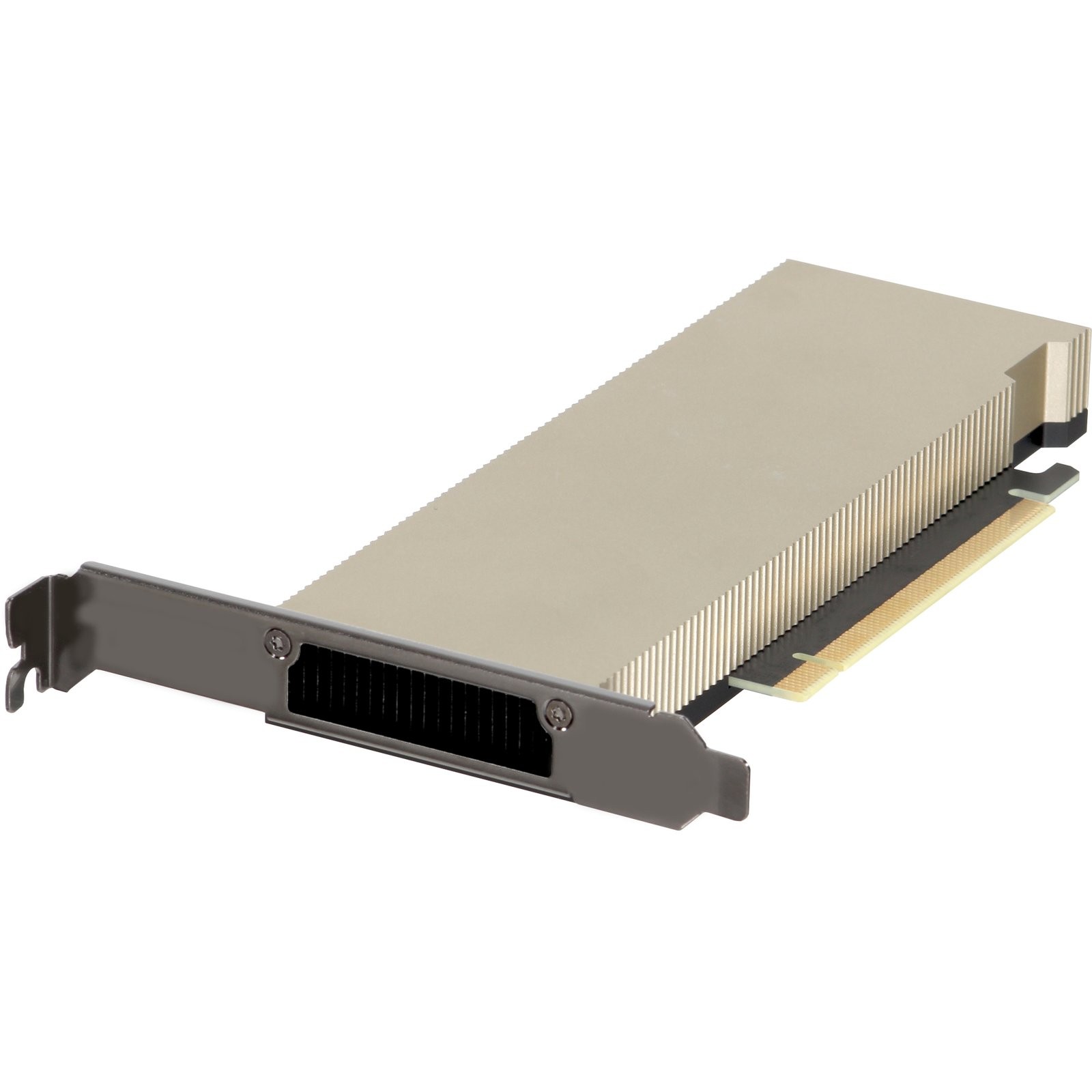 Dell NVIDIA L4 Tensor Core 24GB GDDR6 72W FHHL SW FH PCIe GPU (NG3PY) -CR