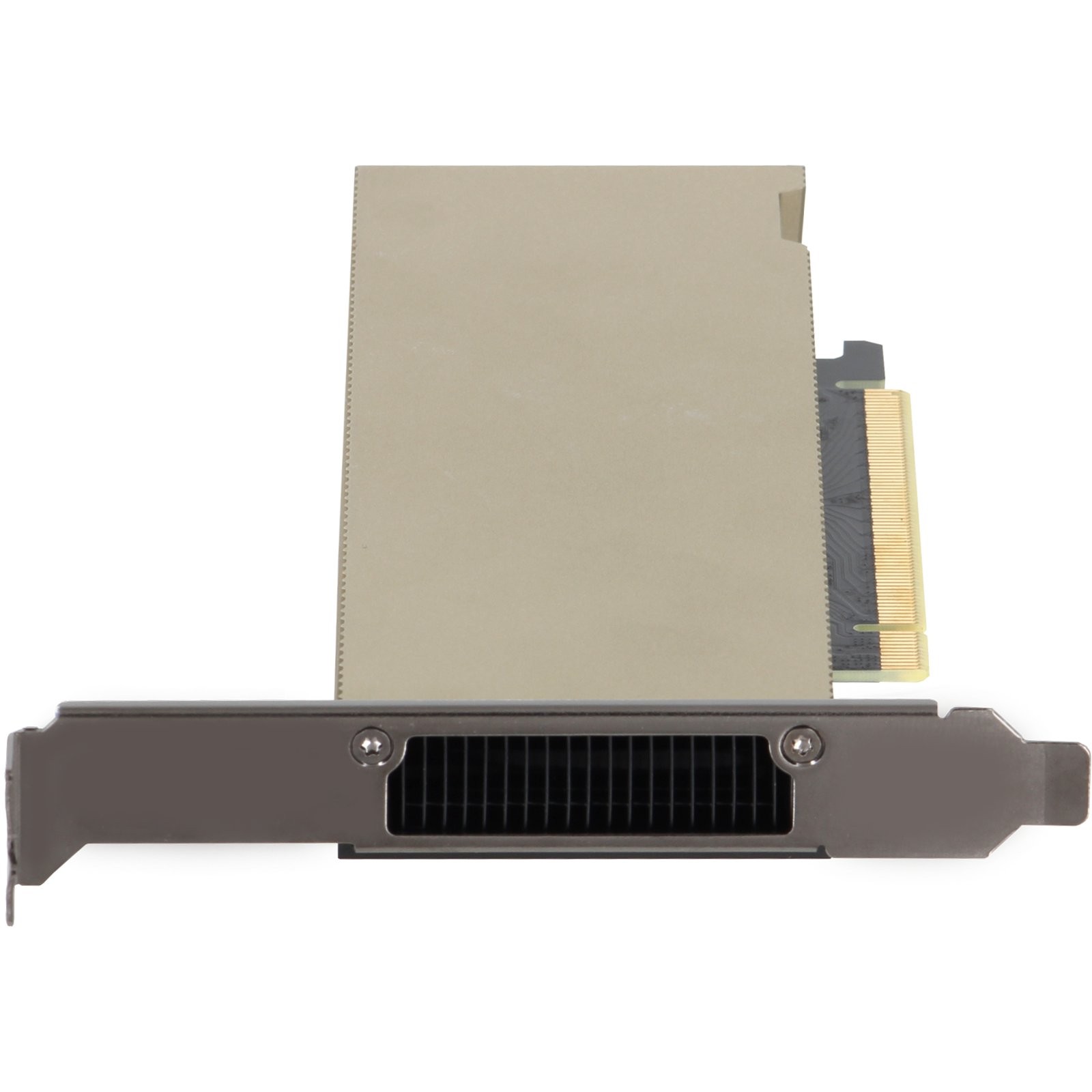 Dell NVIDIA L4 Tensor Core 24GB GDDR6 72W FHHL SW FH PCIe GPU (NG3PY) -CR