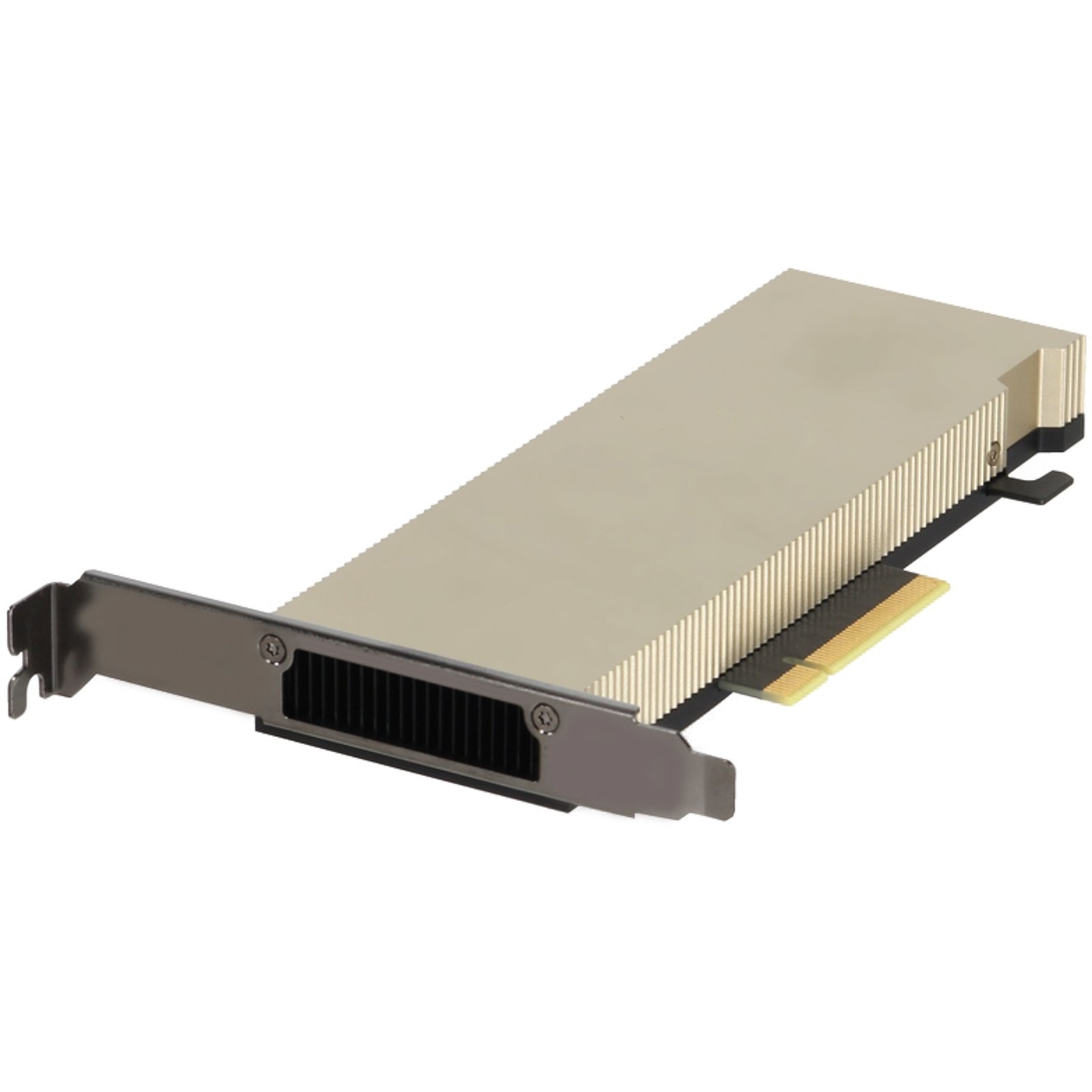 Dell NVIDIA A2 Tensor Core 16GB GDDR6 60W FHHL SW FH PCIe GPU v2 (MG5JX)