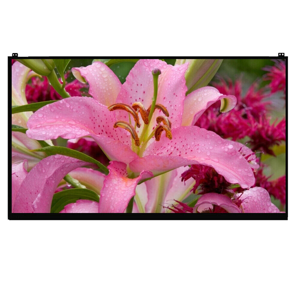 New Genuine LG Gram 15Z95N 15.6″ LCD Screen Display edp 30Pin FHD 1920×1080
